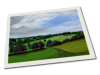 Giclee on Paper product image thumbnail