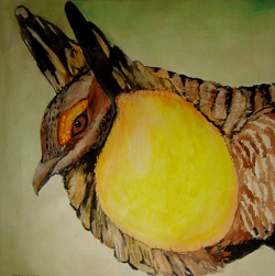 Preview Watercolor Painting 'Prairie Chicken' by John O'Keefe Jr.